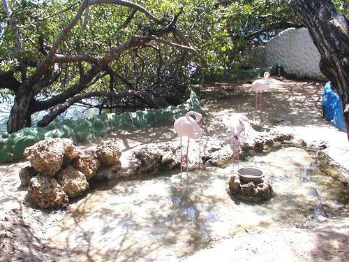 Islas del Rosario - Cartagena, Colombia